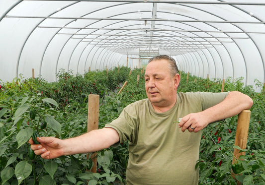 A Chilli Head in Chilli Heaven