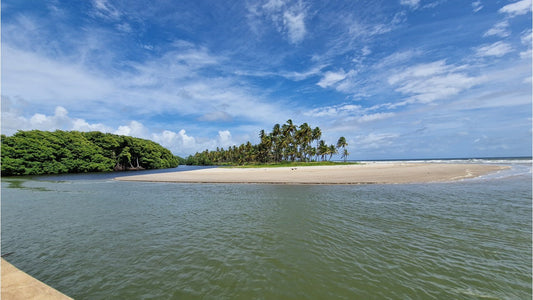 The Story Behind Manzanilla