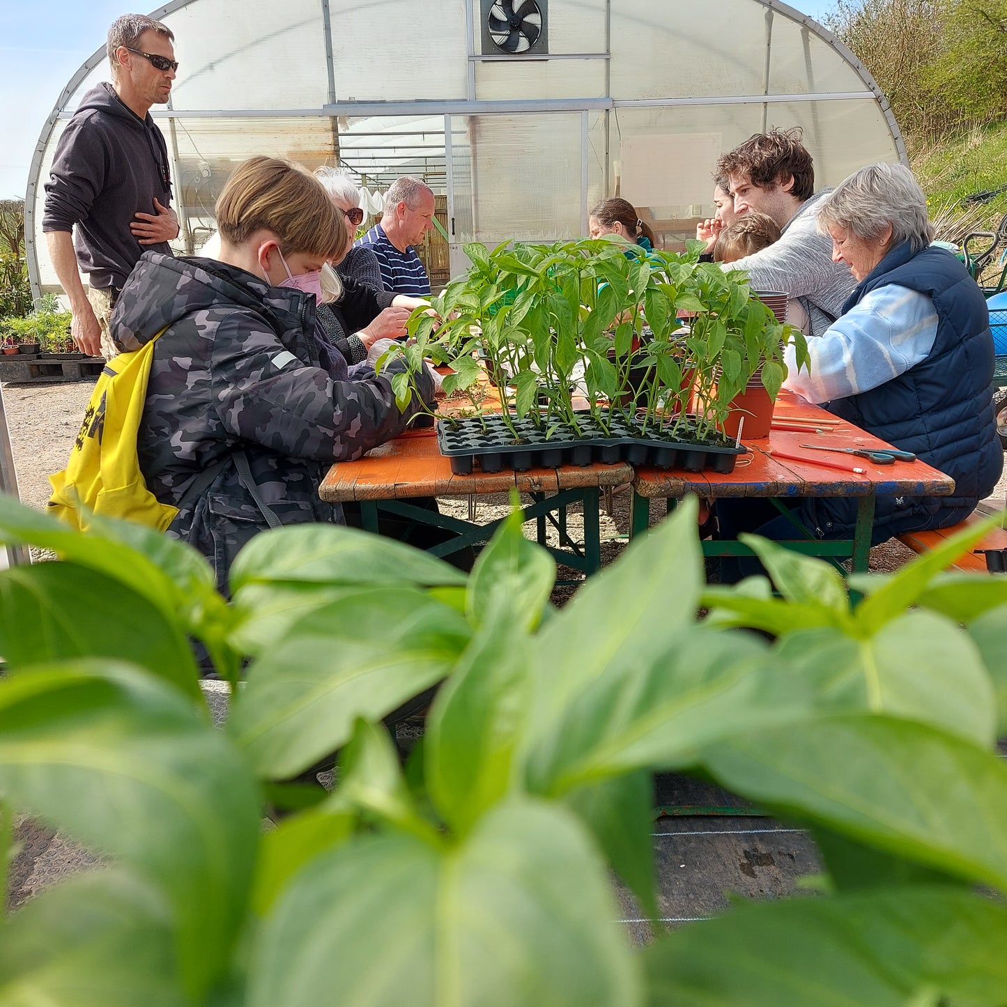 Chilli Growing Workshop (Kids) - Monday 8th April 2024 @ 9.30am