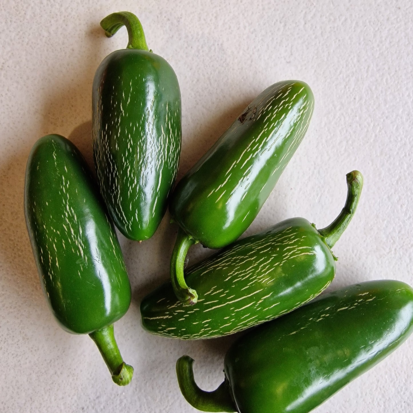 Fresh Jalapeño Chillies