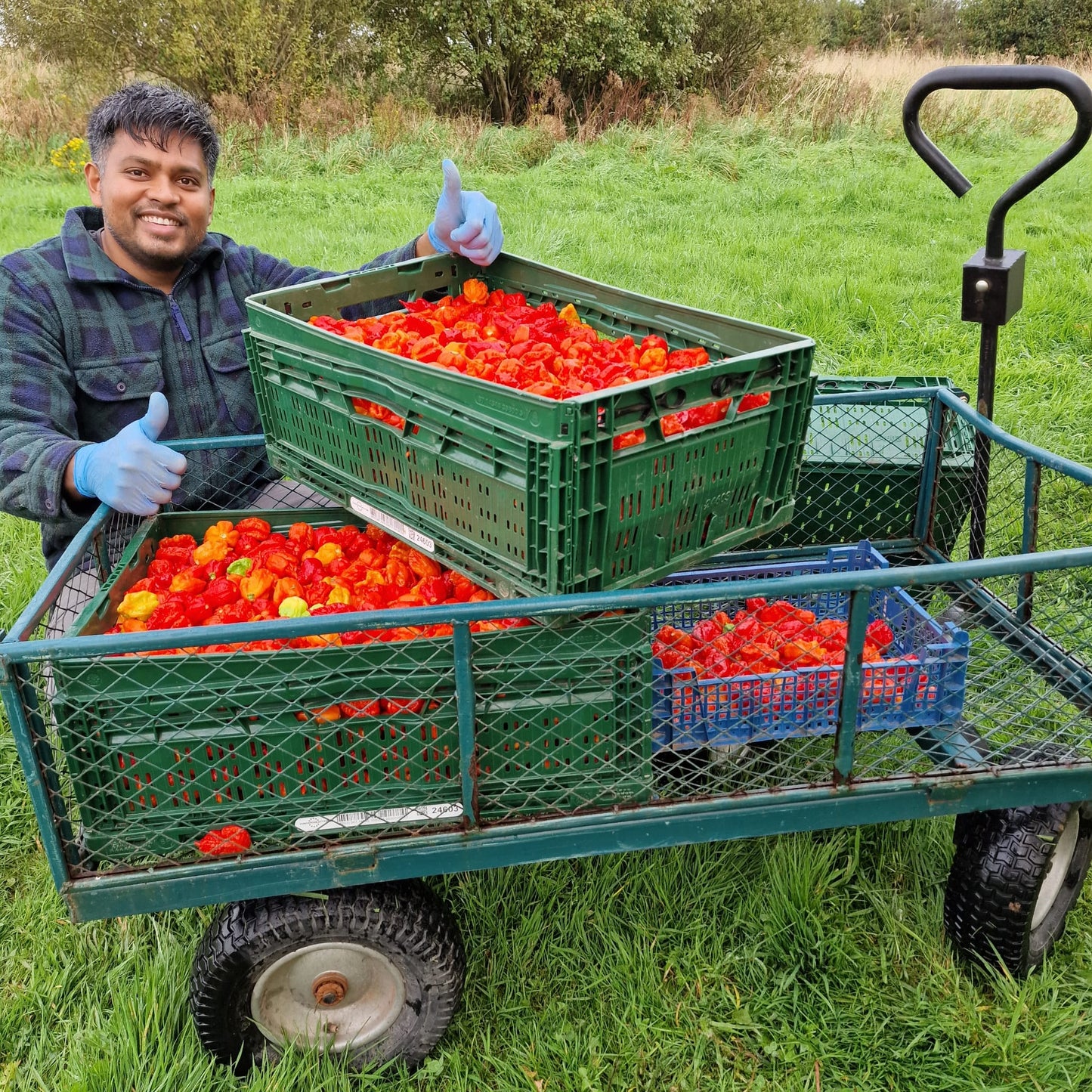 Extreme Chilli Growing Kit 'All-In-One'