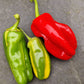 Candy Cane Chilli Seeds