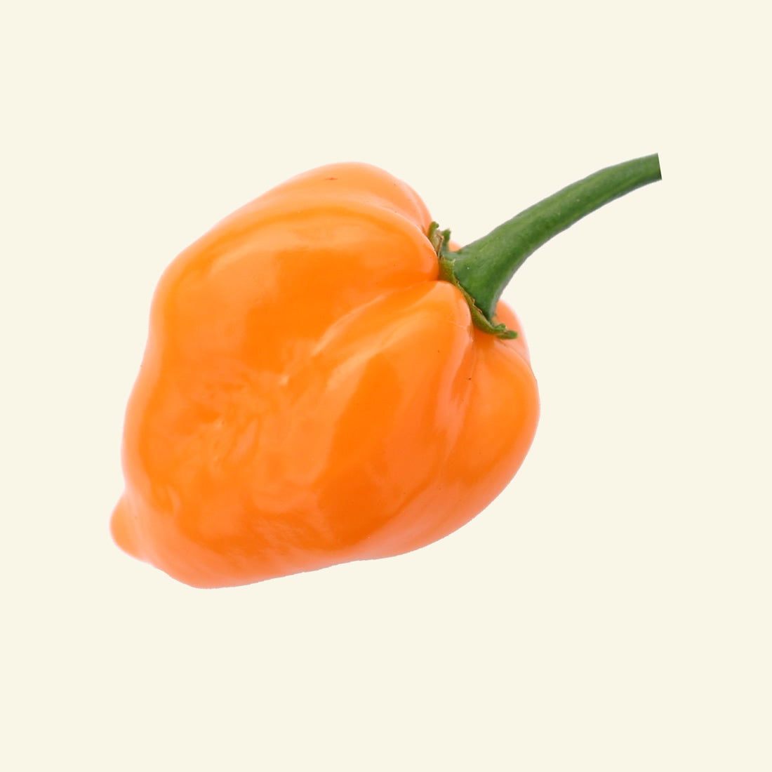 Fresh Orange Habanero Chillies (5 fruits)