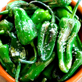 Pimientos de Padron Chilli Seeds