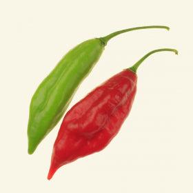 Paper Lantern Habanero Chilli Seeds