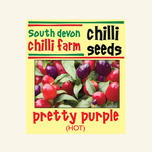 Pretty Purple Chilli Seeds