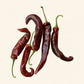 Dried Ring of Fire Chillies (Home Grown) – South Devon Chilli Farm Dried Ring of Fire Chillies (Home Grown) – South Devon Chilli Farm