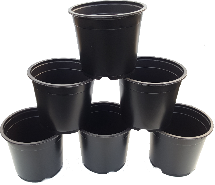 Six 1ltr Plant Pots