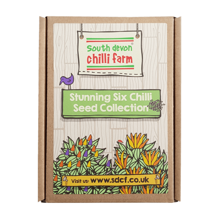 Stunning Six Chilli Seed Gift Set in Box