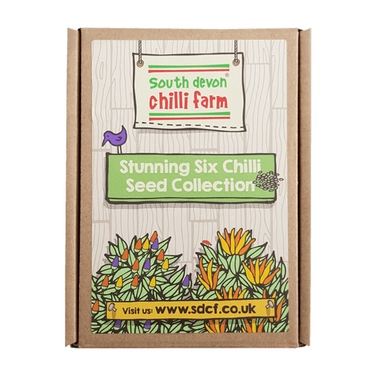 Stunning Six Chilli Seed Gift Set in Box