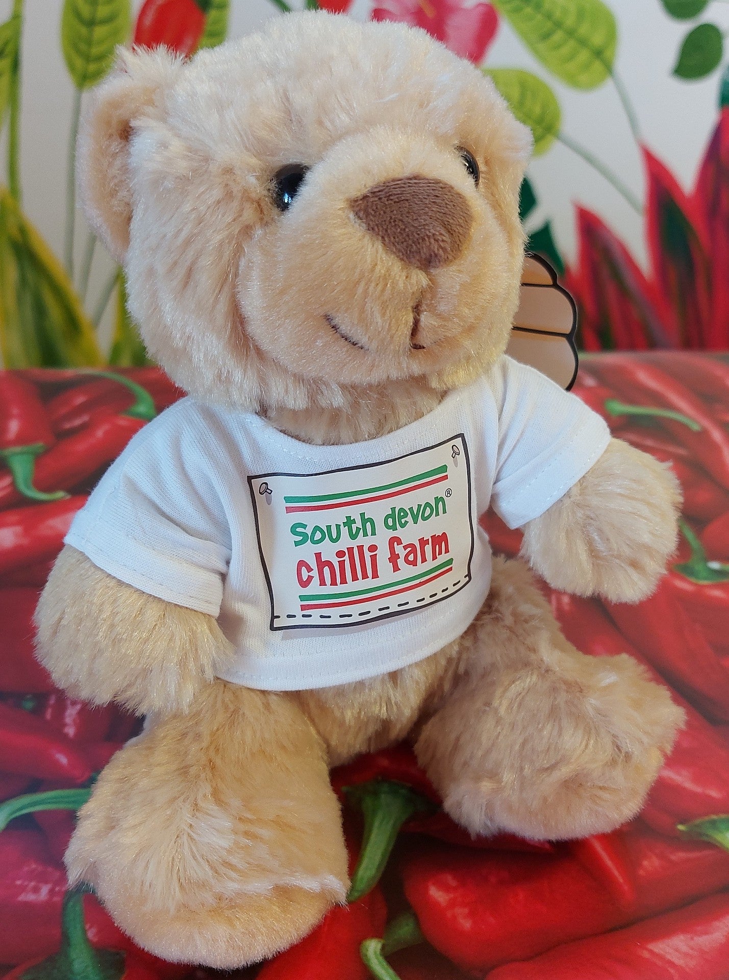 Chilli Bear & Chilli Chocolate