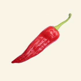 Anaheim Chilli Seeds