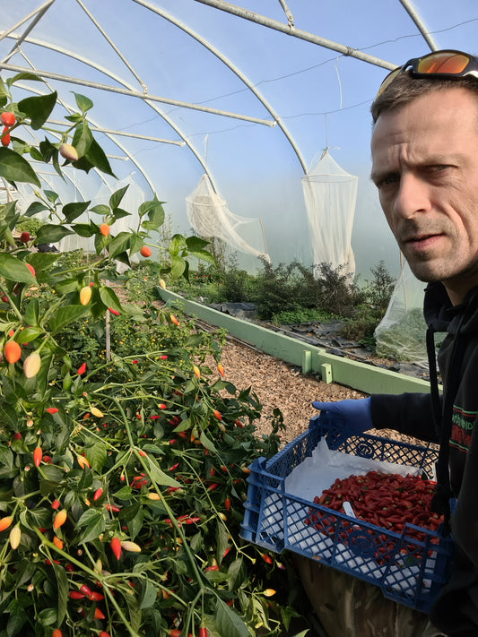 Autumn 2023 Update - from our Horticulture Manager