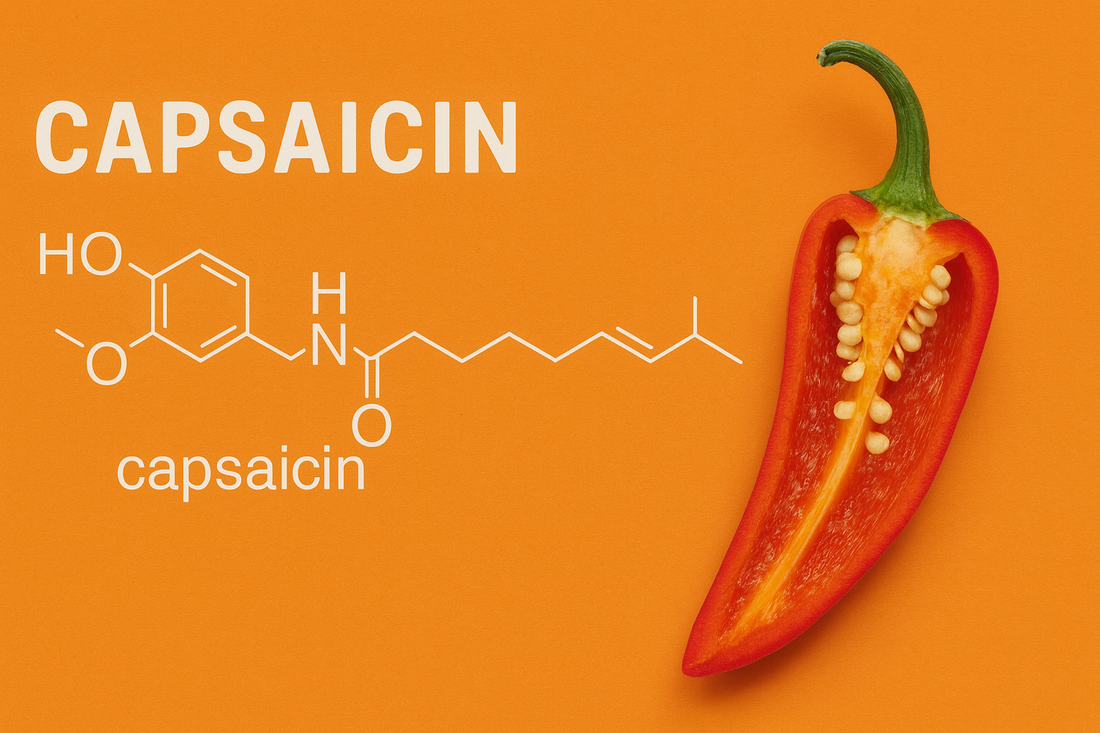 Capsaicin molecule
