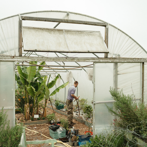 Visiting South Devon Chilli Farm in Winter: A Different Kind of Day Out