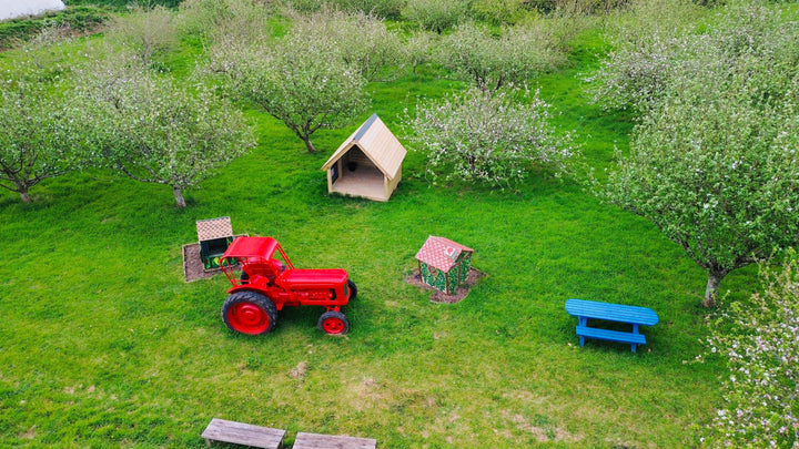 2026 so far | Farm Shop, Family Days Out & New Products in Devon