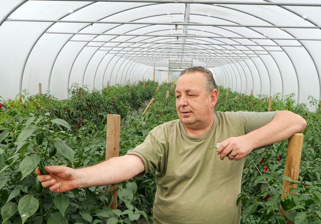 A Chilli Head in Chilli Heaven