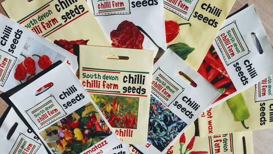 Spice Up Your Life: Growing Chillies from Seed