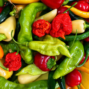 The Health Benefits of Chillies: Why They're Good for More Than Just Heat