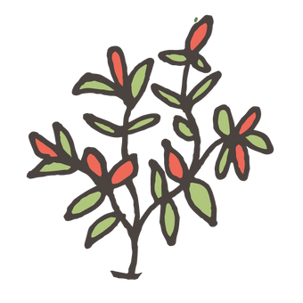 Pot Plants