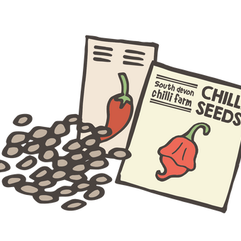 South Devon Chilli Farm Chilli Seeds
