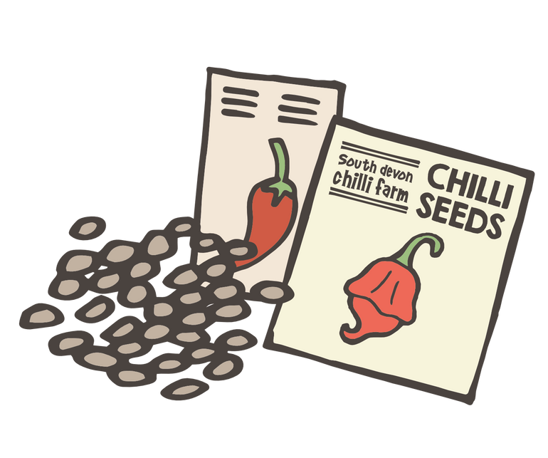 South Devon Chilli Farm Chilli Seeds
