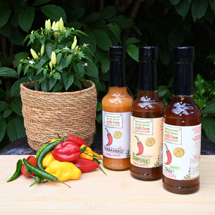 3 Sauce Gift Pack