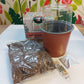 Extreme Reaper Chilli Growing Kit 'All-In-One'