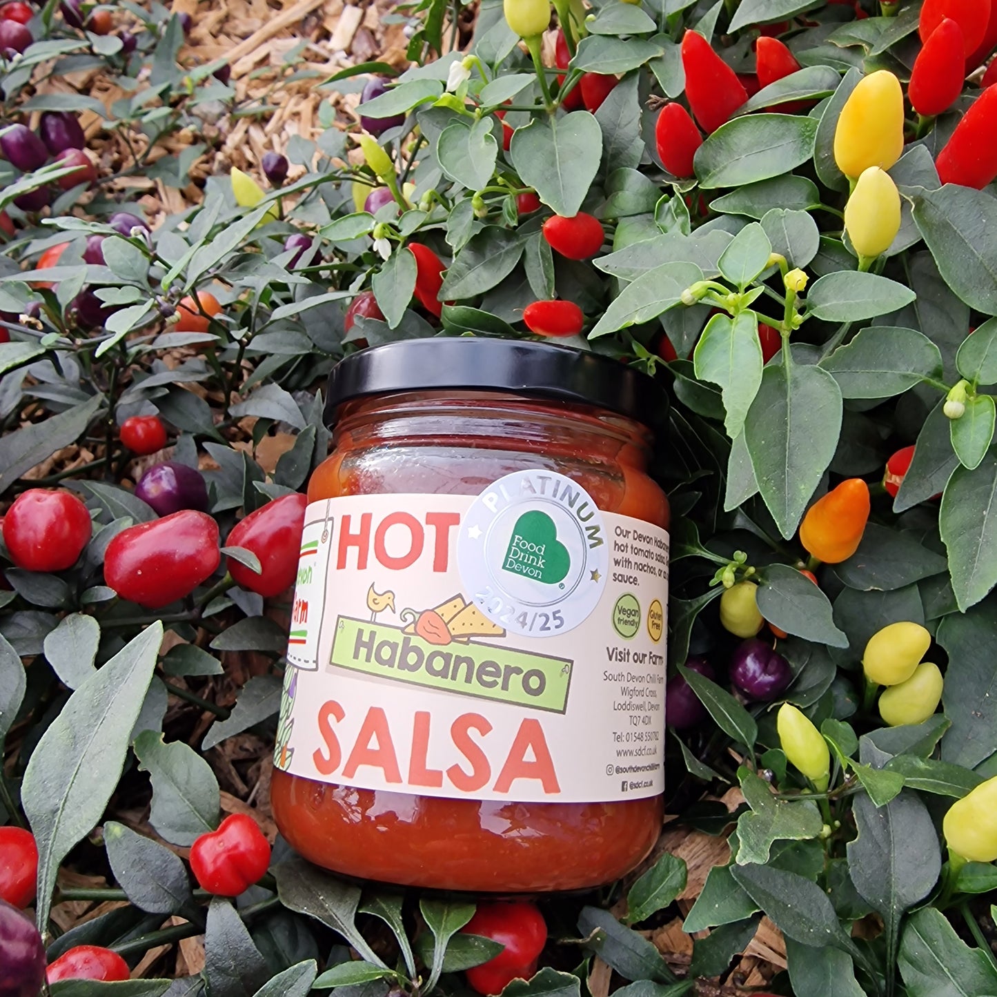 Hot Habanero Salsa