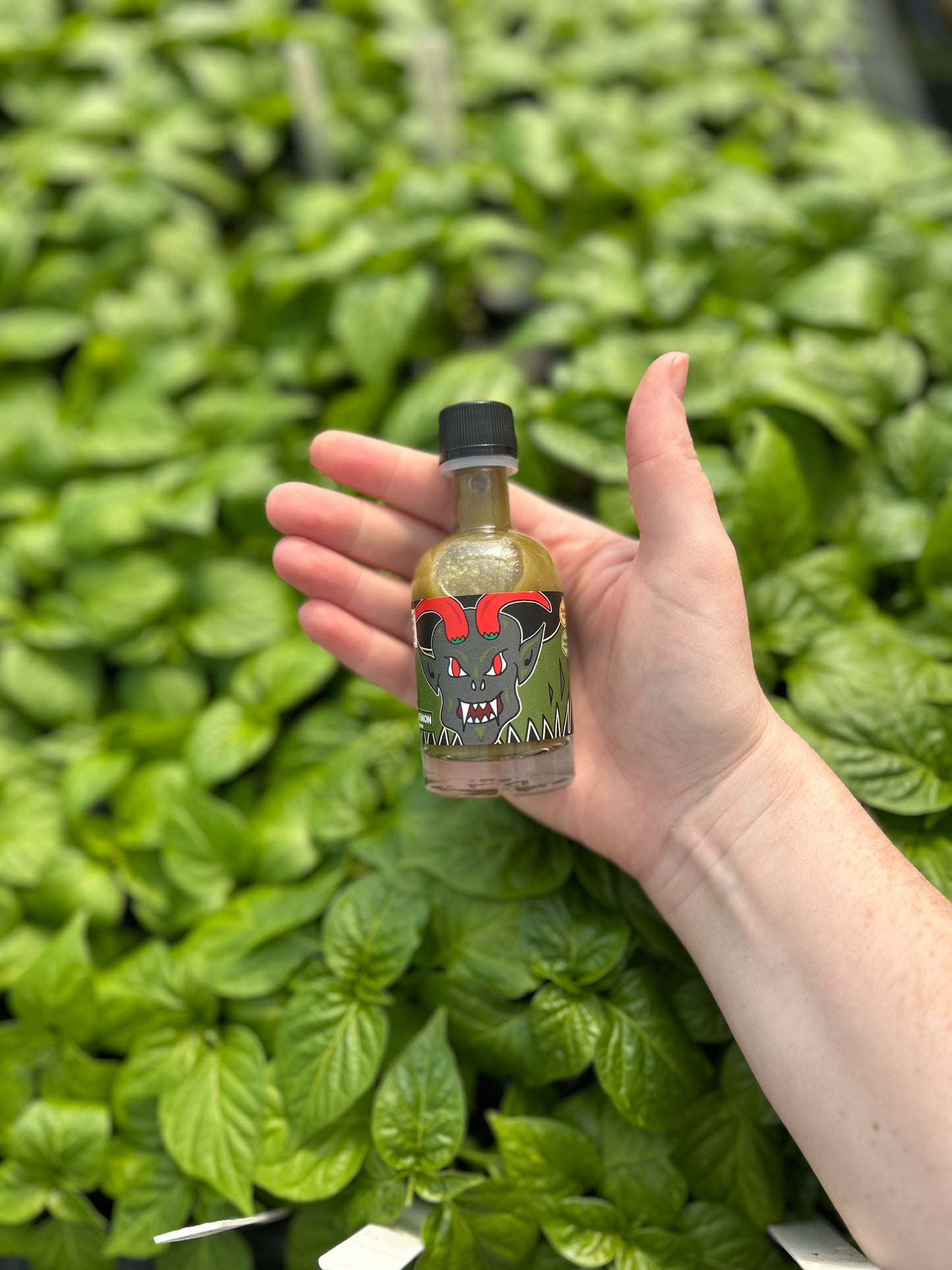 Green Demon Chilli Sauce