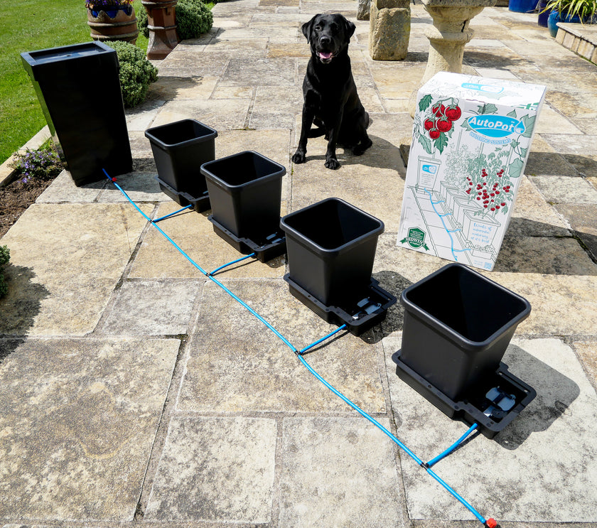 AutoPot 4Pot System