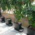 AutoPot 4Pot System