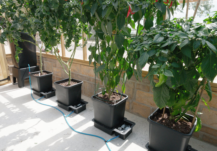 AutoPot 4Pot System