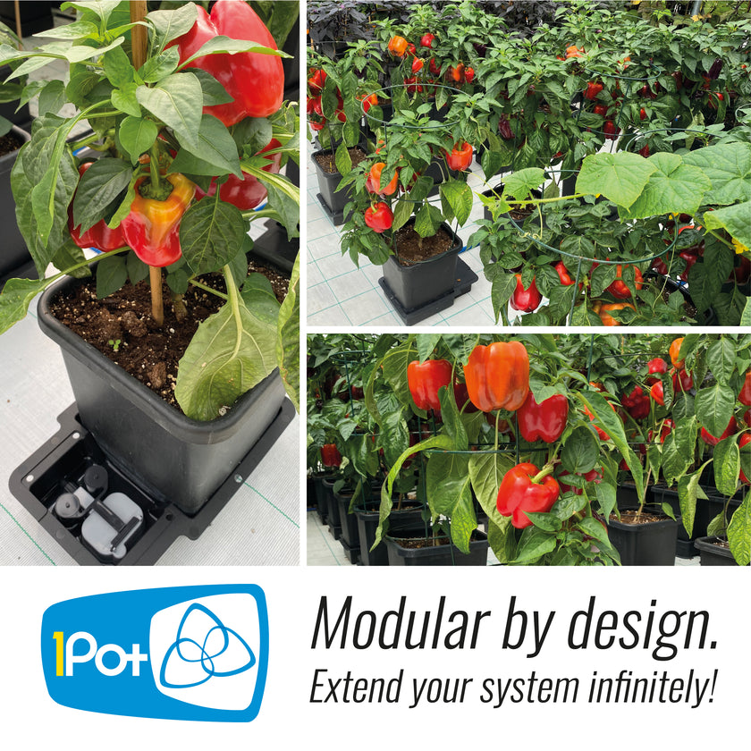 AutoPot 4Pot System
