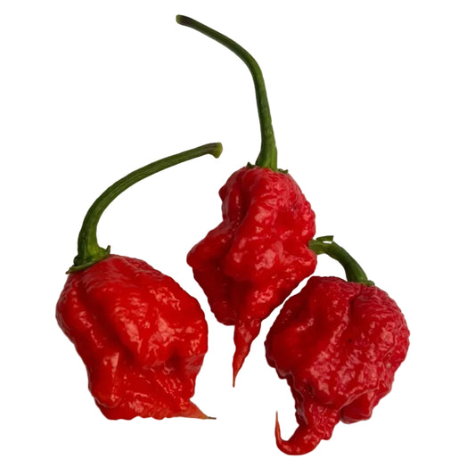 7-Pot Primo Chilli Seeds