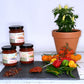 Three Salsa Gift Pack