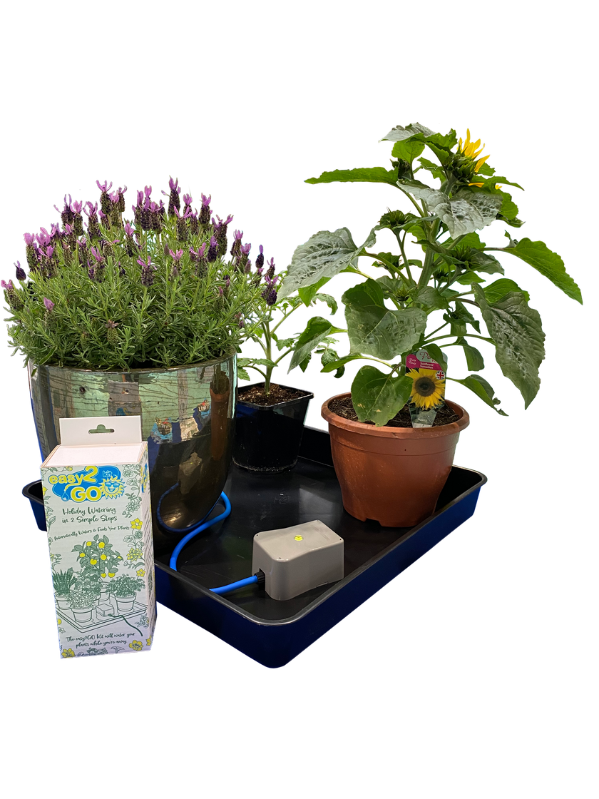 AutoPot east2GO Kit