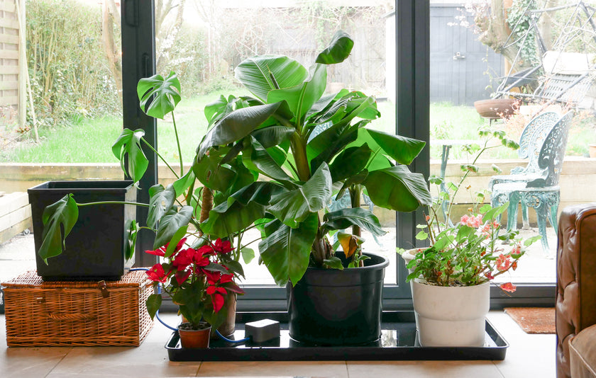 AutoPot east2GO Kit