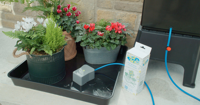 AutoPot east2GO Kit