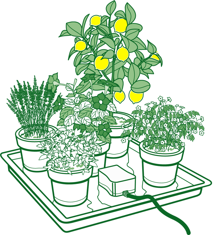 AutoPot east2GO Kit