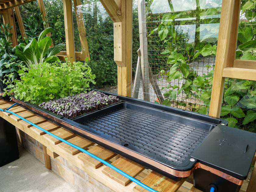 AutoPot Tray2Grow