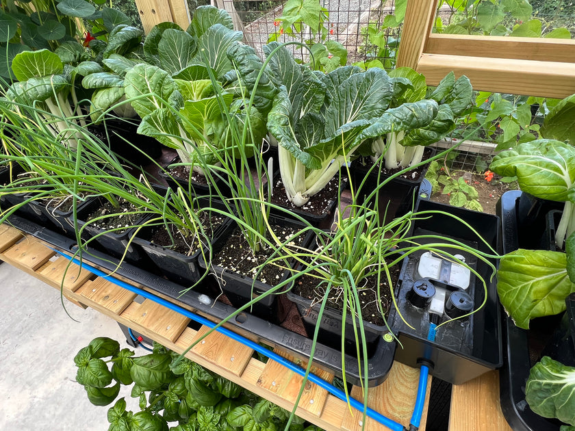 AutoPot Tray2Grow