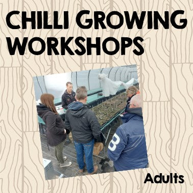 Chilli Growing Workshop - 04/04/2025 @ 2pm