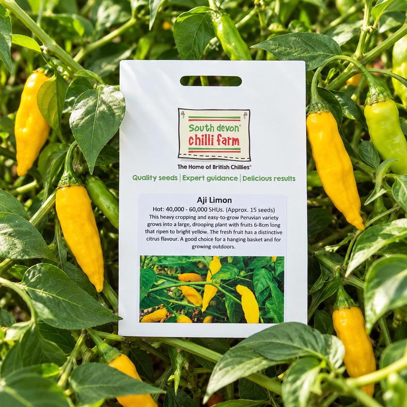 Aji Limon Chilli Seeds