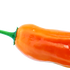 Aji Red Chilli Seeds