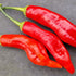 Aji Crystal Chilli Seeds