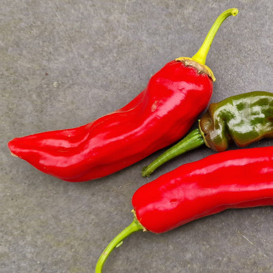 Fresh Anaheim (Hatch) Chillies - Red (2 fruits)