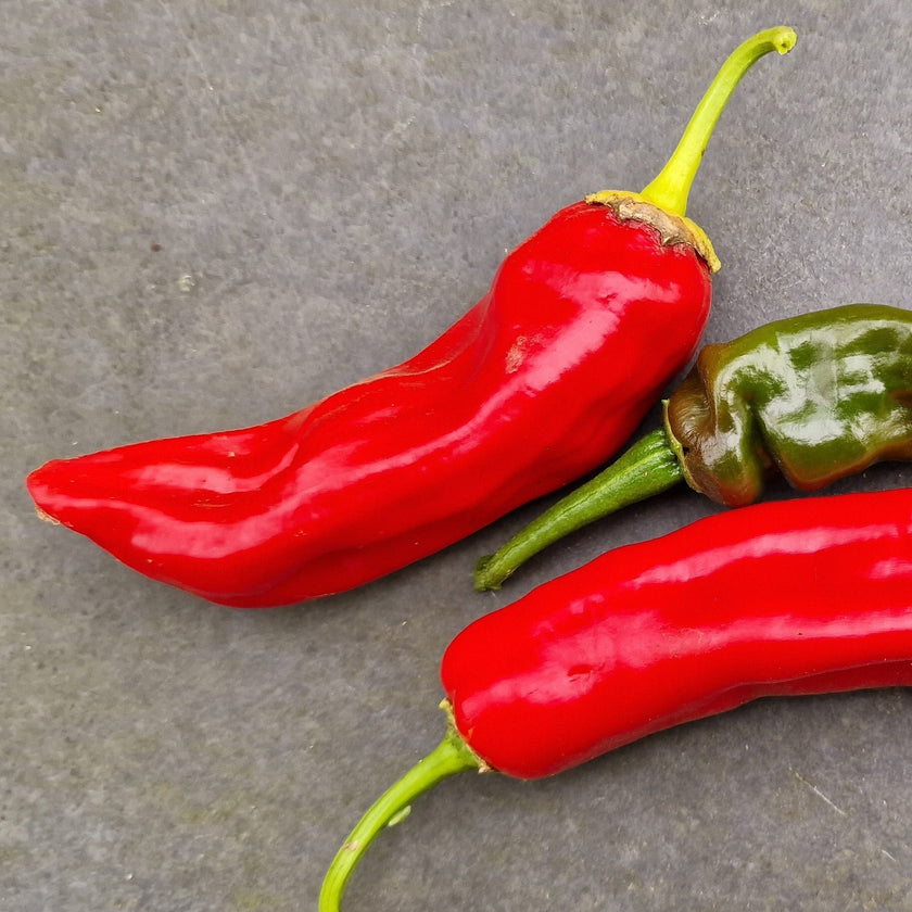 Anaheim Chilli Seeds