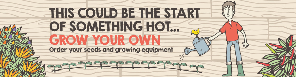 Shop Growing – South Devon Chilli Farm