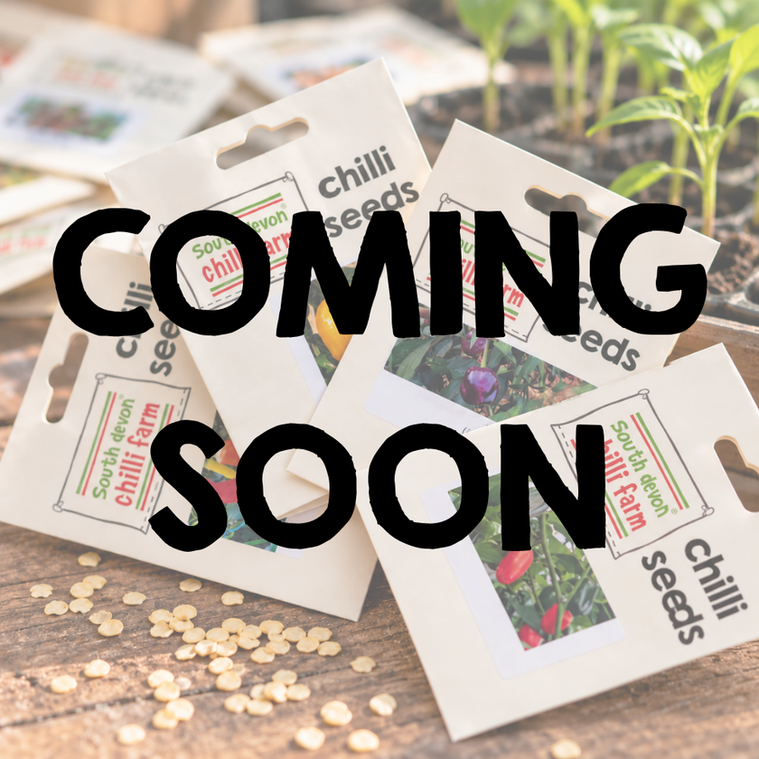 Prairie Fire Chilli Seeds